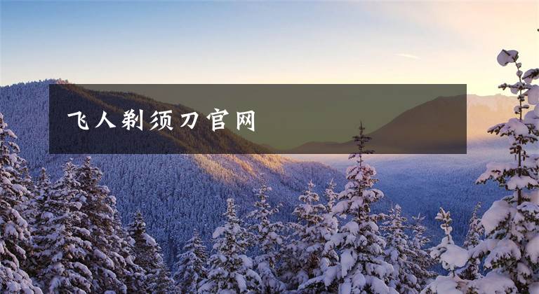 飞人剃须刀官网
