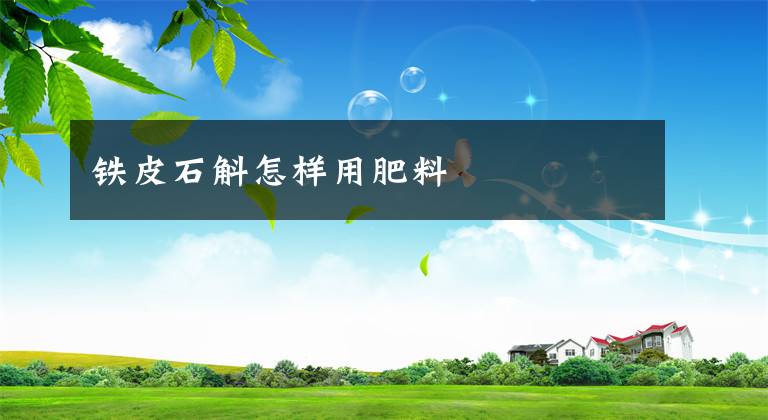 铁皮石斛怎样用肥料