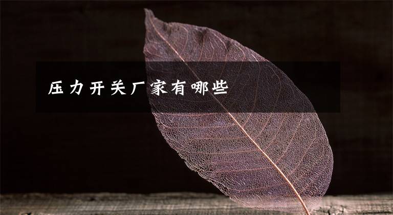 压力开关厂家有哪些