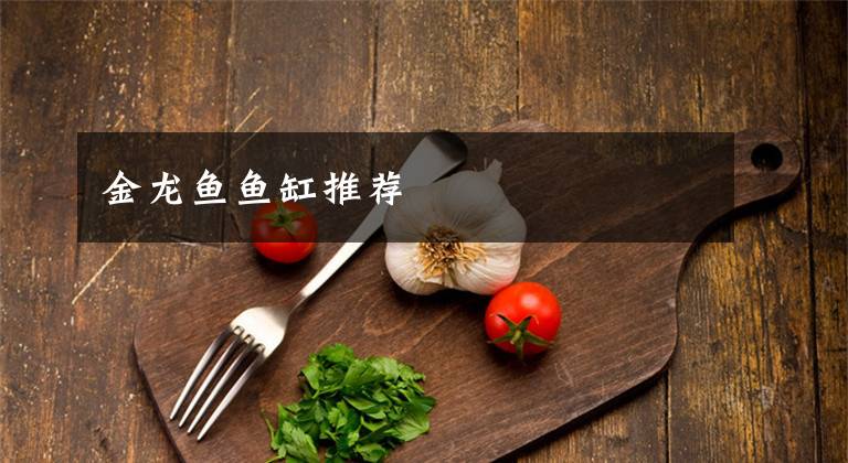 金龙鱼鱼缸推荐