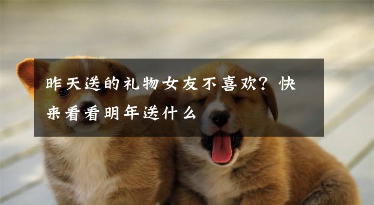 昨天送的礼物女友不喜欢?快来看看明年送什么