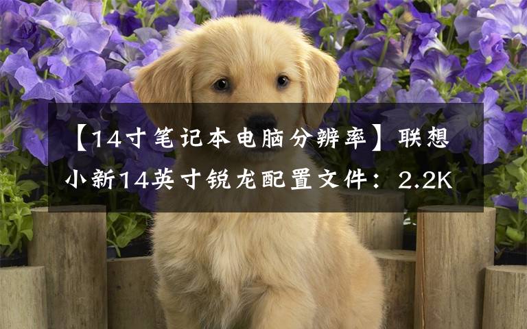 【14寸笔记本电脑分辨率】联想小新14英寸锐龙配置文件:2.2K生产力屏幕