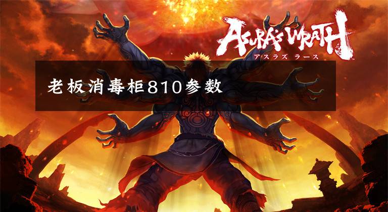 老板消毒柜810参数