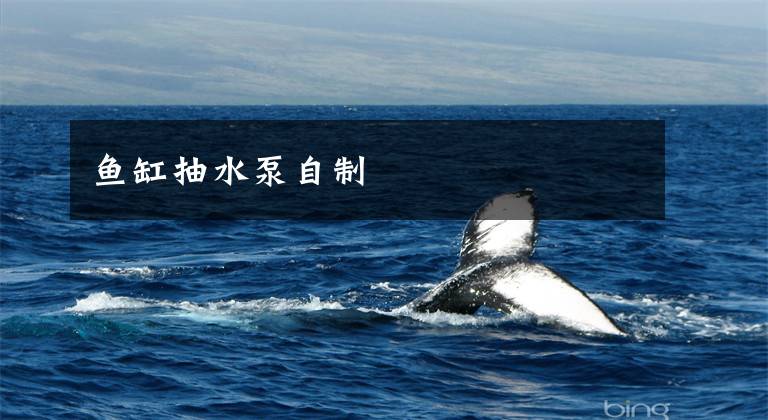 鱼缸抽水泵自制