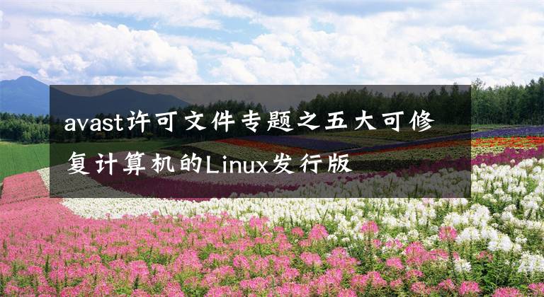 avast许可文件专题之五大可修复计算机的Linux发行版