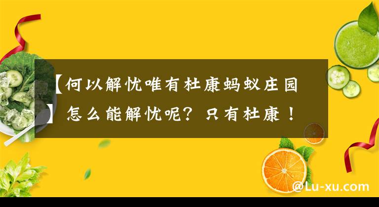 【何以解忧唯有杜康蚂蚁庄园】怎么能解忧呢?只有杜康!