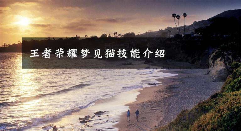 王者荣耀梦见猫技能介绍