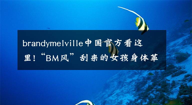 brandymelville中国官方看这里!“BM风”刮来的女孩身体革命