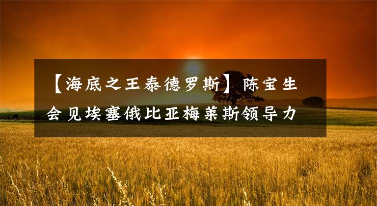 【海底之王泰德罗斯】陈宝生会见埃塞俄比亚梅莱斯领导力学院院长泰德罗斯