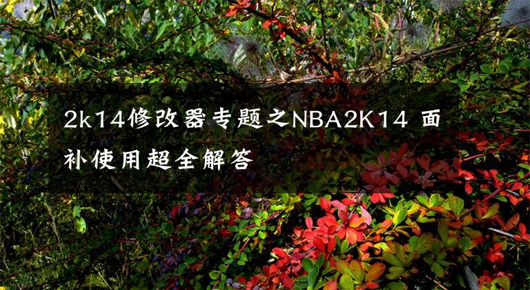 2k14修改器专题之NBA2K14 面补使用超全解答