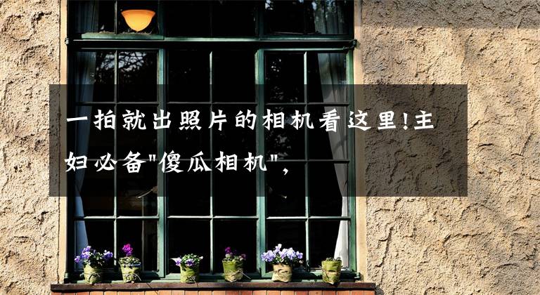 一拍就出照片的相机看这里!主妇必备"傻瓜相机"，一秒成像，迅速出片，比拍立得好用一百倍