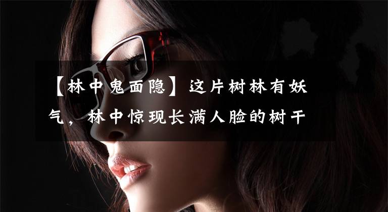 【林中鬼面隐】这片树林有妖气，林中惊现长满人脸的树干，神秘诡异让人浮想联翩