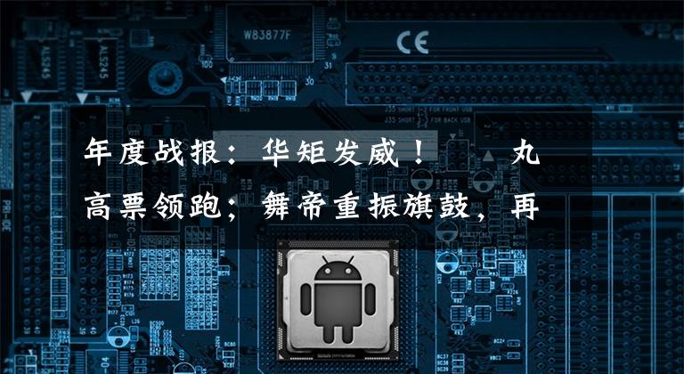 年度战报:华矩发威!囧囧丸高票领跑;舞帝重振旗鼓,再战钻石