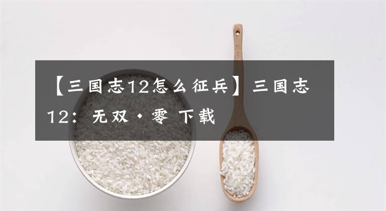 【三国志12怎么征兵】三国志12：无双·零 下载