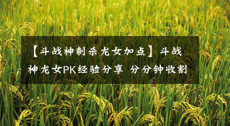 【斗战神刺杀龙女加点】斗战神龙女PK经验分享 分分钟收割人头