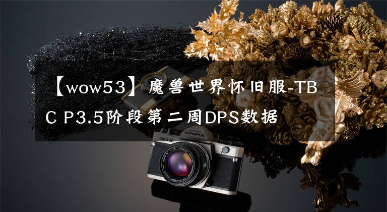 【wow53】魔兽世界怀旧服-TBC P3.5阶段第二周DPS数据