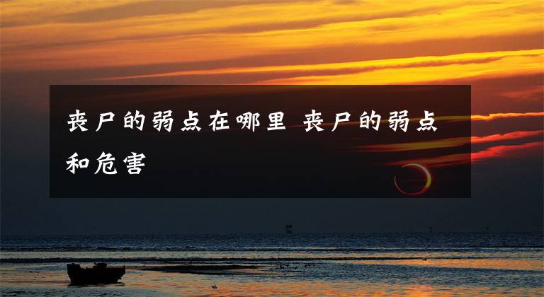 丧尸的弱点在哪里 丧尸的弱点和危害