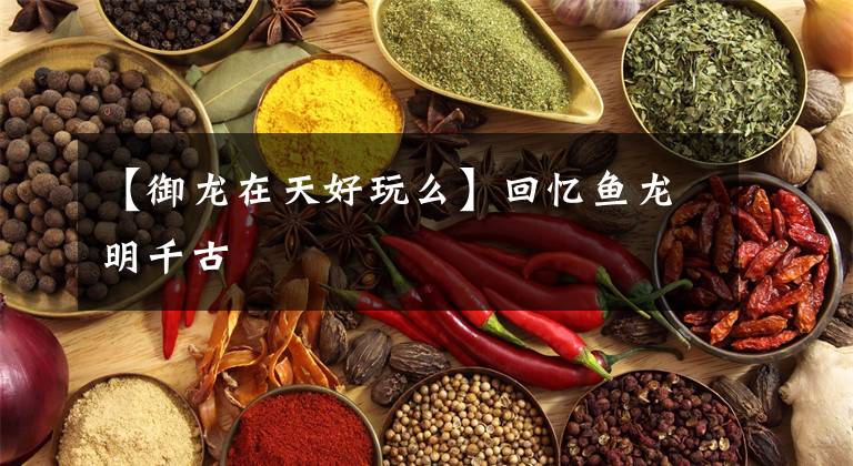 【御龙在天好玩么】回忆鱼龙明千古