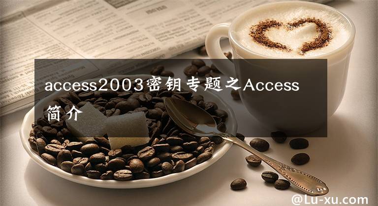 access2003密钥专题之Access简介