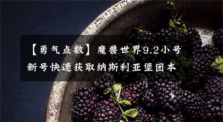 【勇气点数】魔兽世界9.2小号新号快速获取纳斯利亚堡团本橙装回忆