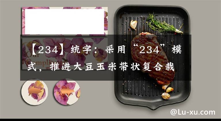 【234】统字：采用“234”模式，推进大豆玉米带状复合栽培