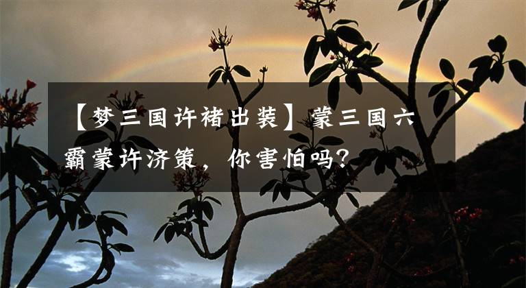 【梦三国许褚出装】蒙三国六霸蒙许济策,你害怕吗?