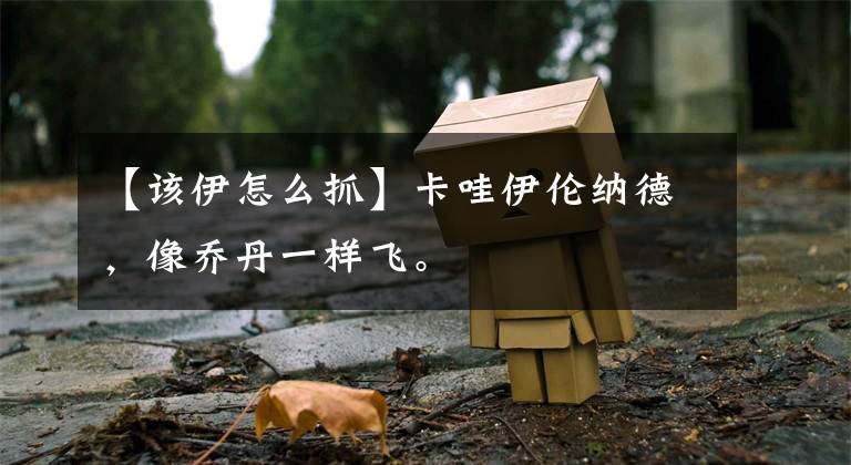 【该伊怎么抓】卡哇伊伦纳德,像乔丹一样飞。