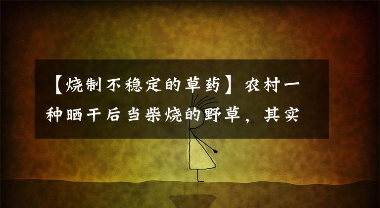 【烧制不稳定的草药】农村一种晒干后当柴烧的野草，其实是传统美食，植株自带异香