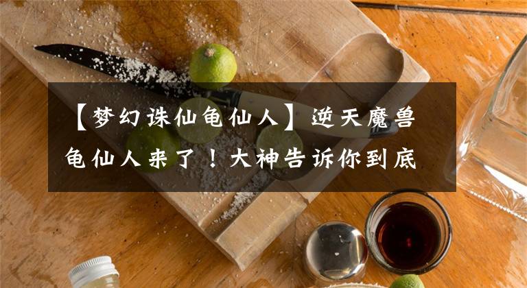 【梦幻诛仙龟仙人】逆天魔兽龟仙人来了!大神告诉你到底该怎么养