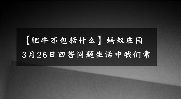 【肥牛不包括什么】蚂蚁庄园3月26日回答问题生活中我们常说的肥牛，下面哪个小鸡宝宝今天不考答案总结。