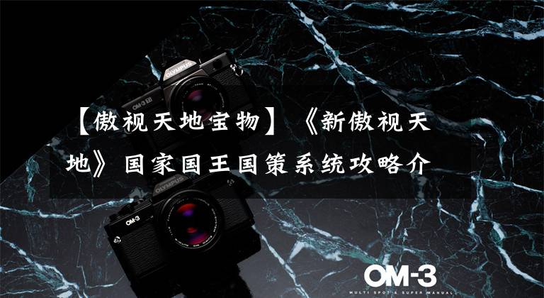 【傲视天地宝物】《新傲视天地》国家国王国策系统攻略介绍