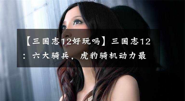 【三国志12好玩吗】三国志12：六大骑兵，虎豹骑机动力最高，战象破坏力高