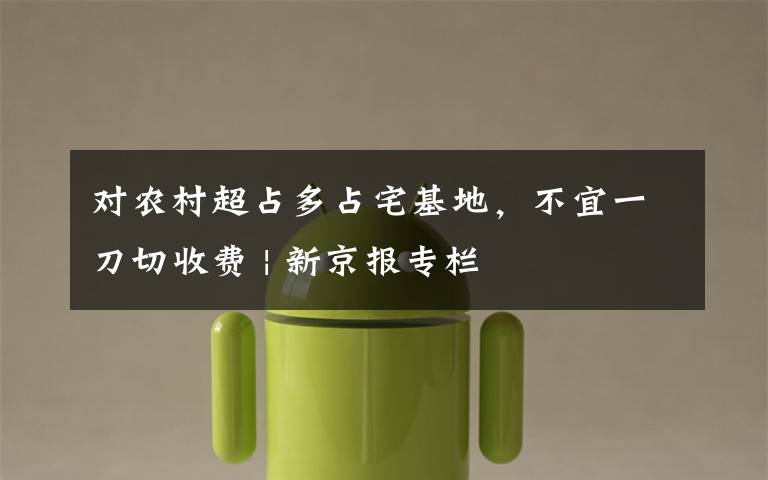 对农村超占多占宅基地,不宜一刀切收费 | 新京报专栏