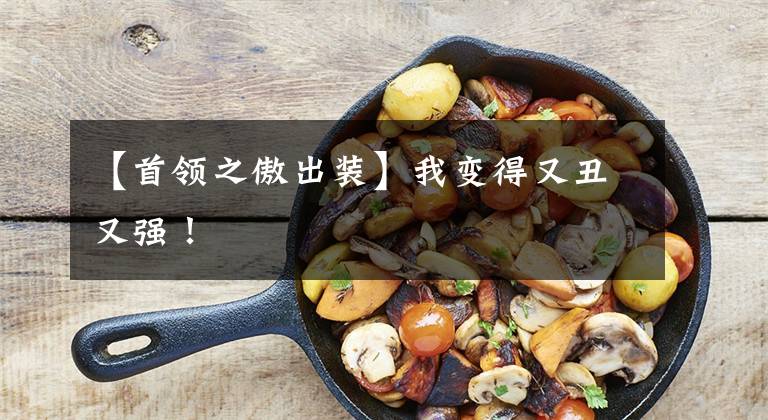 【首领之傲出装】我变得又丑又强!