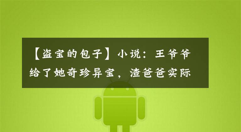 【盗宝的包子】小说：王爷爷给了她奇珍异宝，渣爸爸实际上送来了暗卫深夜徒步，当场被抓住。