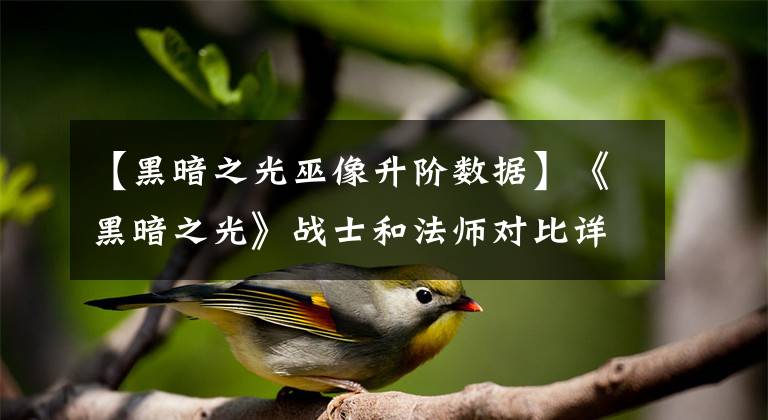 【黑暗之光巫像升阶数据】《黑暗之光》战士和法师对比详解