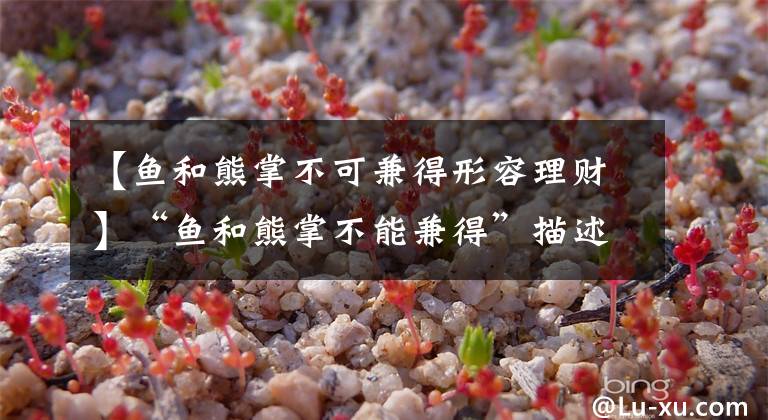 【鱼和熊掌不可兼得形容理财】“鱼和熊掌不能兼得”描述了理财的哪些特点？小鸡宝宝测试支付宝蚂蚁庄园17日答复