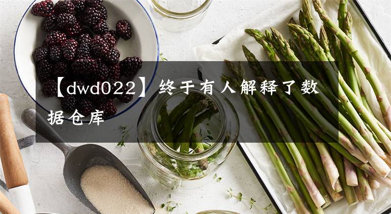 【dwd022】终于有人解释了数据仓库