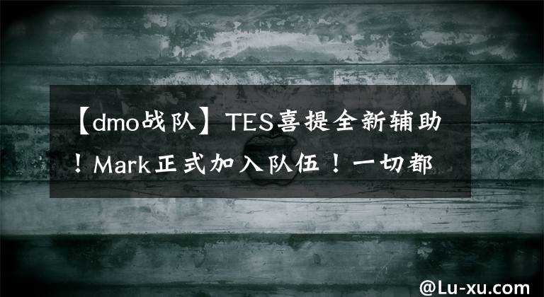 【dmo战队】TES喜提全新辅助！Mark正式加入队伍！一切都好起来了