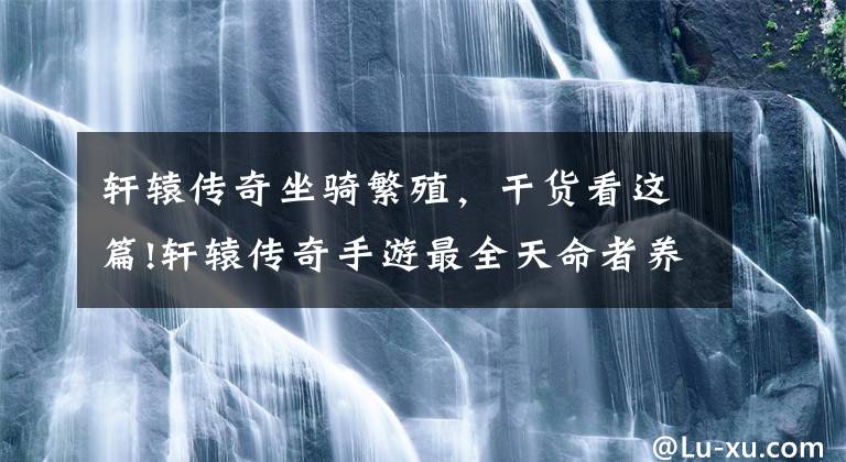轩辕传奇坐骑繁殖,干货看这篇!轩辕传奇手游最全天命者养成攻略汇总