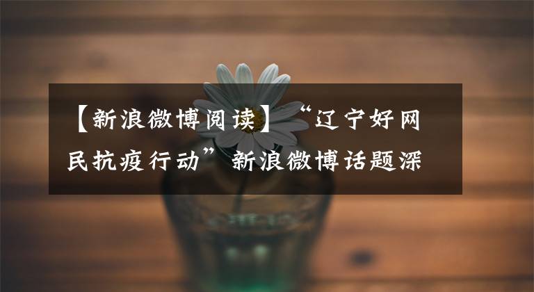【新浪微博阅读】“辽宁好网民抗疫行动”新浪微博话题深受网民欢迎,3354话题阅读量超过1.7亿人。
