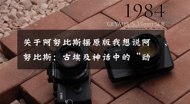 关于阿努比斯摇原版我想说阿努比斯：古埃及神话中的“动物世界”