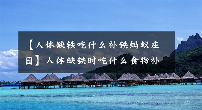 【人体缺铁吃什么补铁蚂蚁庄园】人体缺铁时吃什么食物补充效果更好?猪肝或菠菜