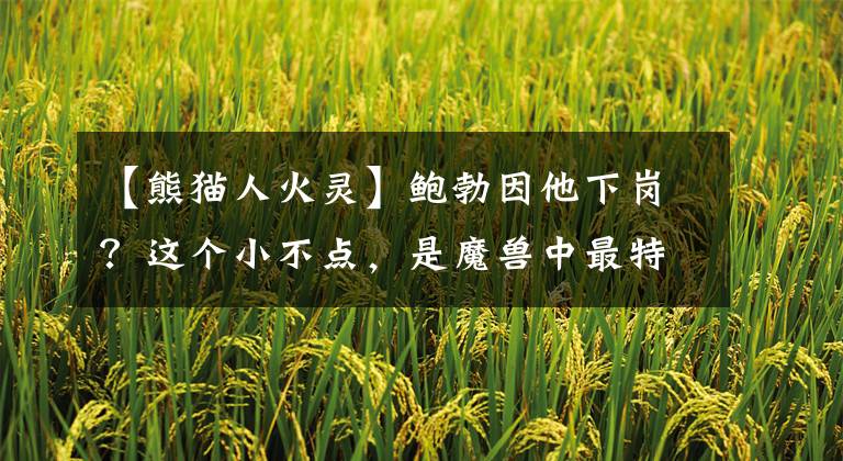 【熊猫人火灵】鲍勃因他下岗？这个小不点，是魔兽中最特别的存在！「炉石传说」