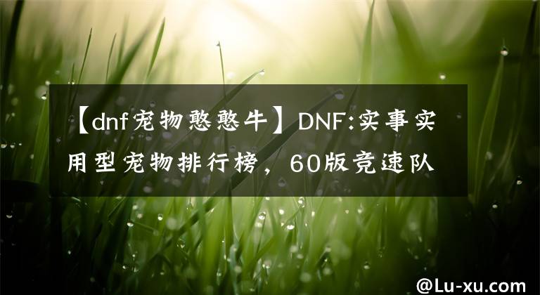 【dnf宠物憨憨牛】DNF:实事实用型宠物排行榜，60版竞速队长必备。吓了我一跳。