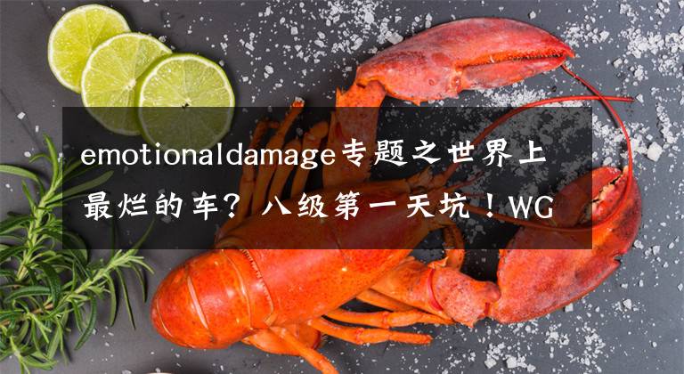 emotionaldamage专题之世界上最烂的车？八级第一天坑！WG设计出它就是为了恶心玩家吗？