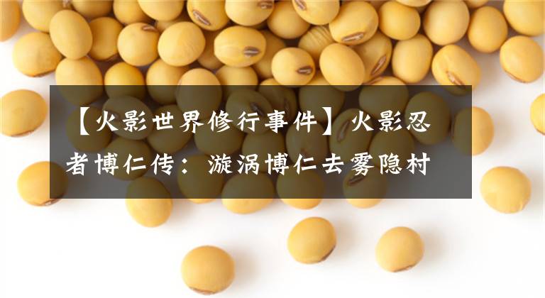 【火影世界修行事件】火影忍者博仁传：漩涡博仁去雾隐村修行，遇到了新的眼珠术紫眼睛吗？