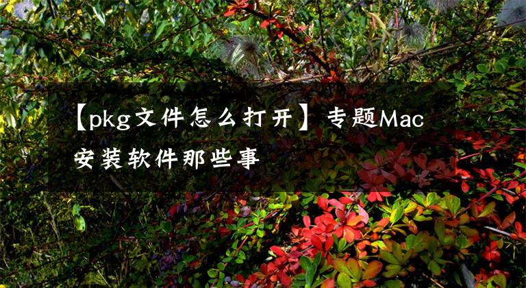 【pkg文件怎么打开】专题Mac 安装软件那些事