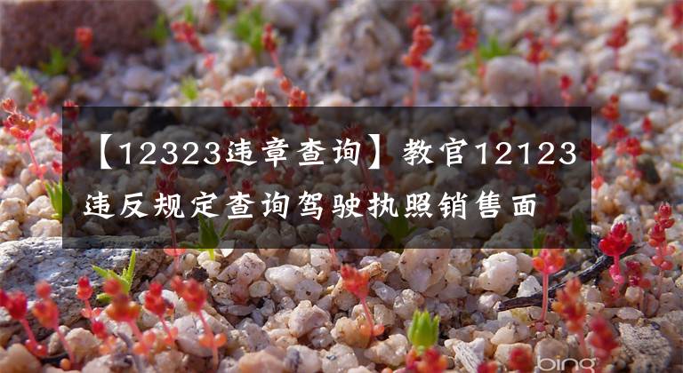 【12323违章查询】教官12123违反规定查询驾驶执照销售面签,证明一目了然。