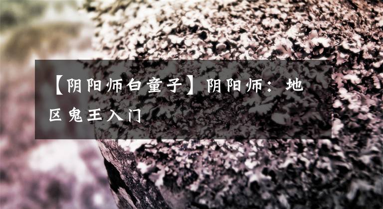 【阴阳师白童子】阴阳师:地区鬼王入门